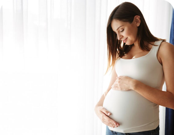 Fertility and IVF support